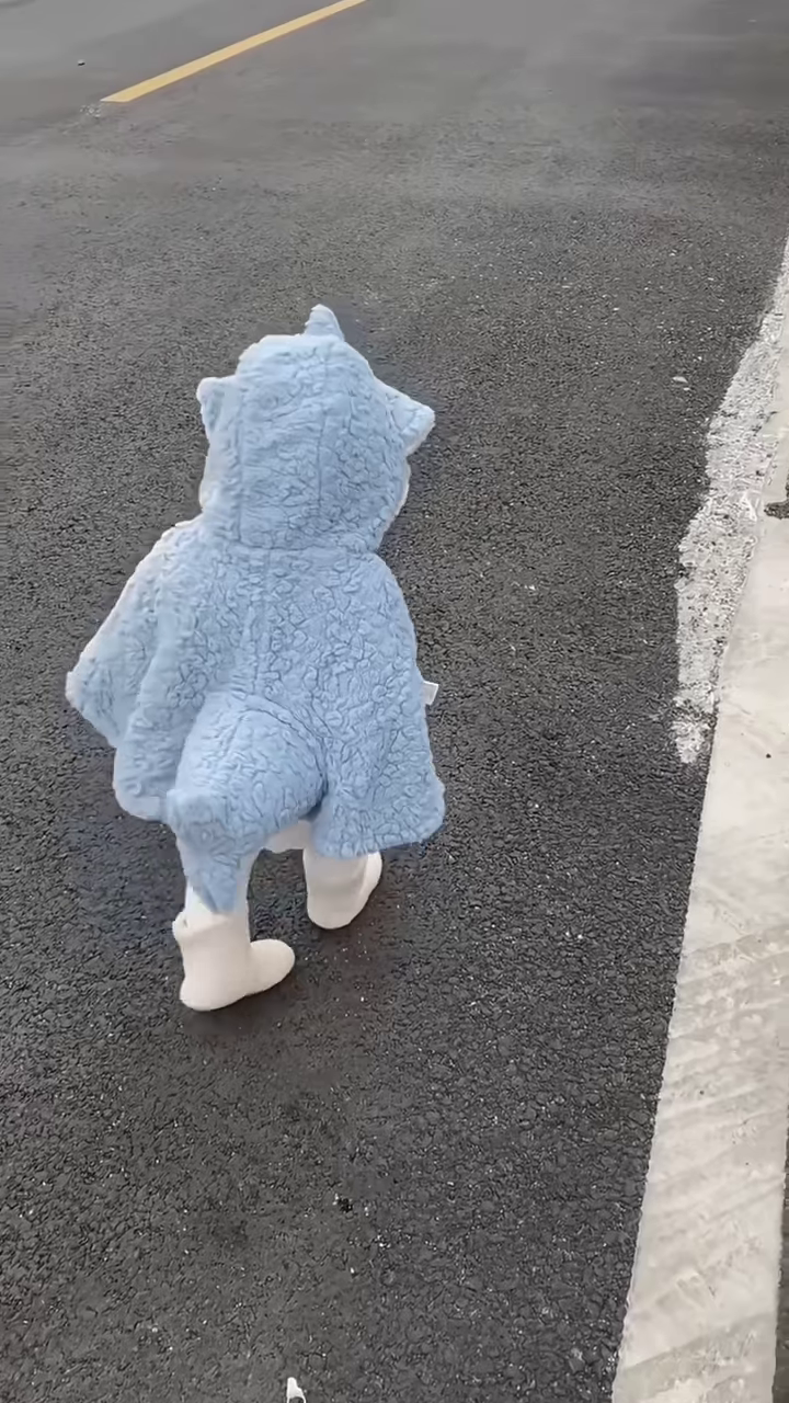 Fluffy Animal-Themed Kids' Costumes π°π¦π¦ β Bunny, Shark & Dino Variants - Image 4