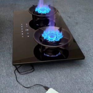 USB-Powered Dual Burner Portable Induction Stove