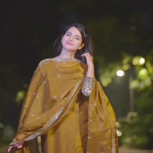 Golden Mustard Embroidered Punjabi Suit – Radiate Festive Elegance with Royal Flair