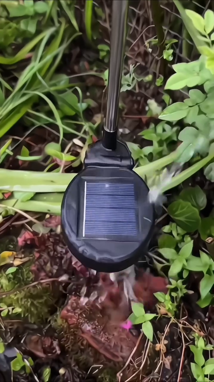 "Starburst LED Firework Light - Multi-Color Fiber Optic Lamp for Home Decor and Celebrations" - Image 2