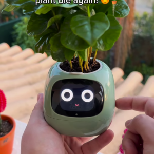 Smart Self-Care Planter – Digital Pot with Built-In Clock, Weather & Plant Health Display