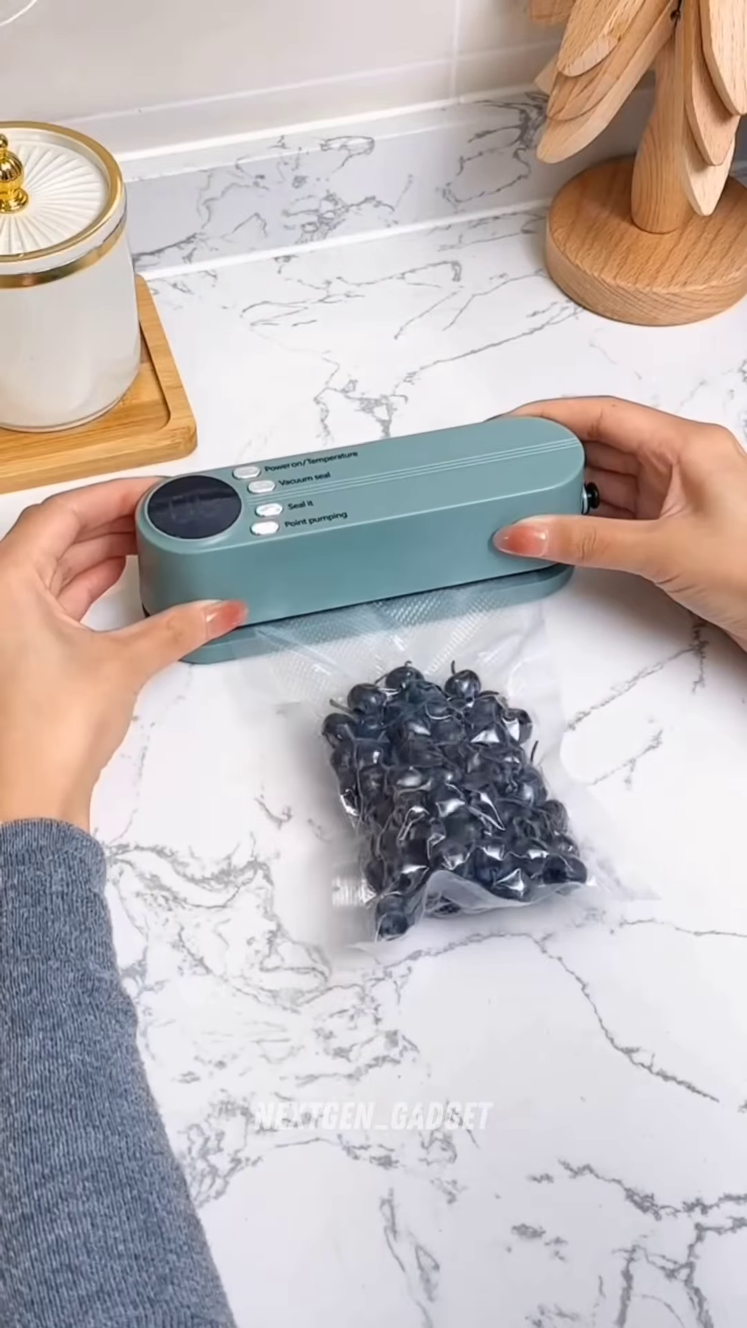 Compact Cordless Food Vacuum Sealer - Portable Preservation System for Kitchen Use